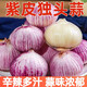 農(nóng)大姐妹獨(dú)頭蒜 新鮮紫皮獨(dú)頭大蒜  云南獨(dú)頭蒜 云南紫皮獨(dú)頭蒜農(nóng)家種植 5斤