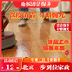 【地板清潔保養】地板清潔打蠟 木地板清潔打蠟保養 大理石地磚瓷磚深度清潔 地板清潔保養 石材清潔保養 90平米地板清潔