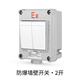 SD'ZM 防爆開(kāi)關(guān) 防爆墻壁開(kāi)關(guān)ExdeIICT6Gb 防爆照明220V10A 二開(kāi)