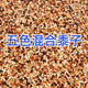 再再混合鳥糧鳥食鳥料鸚鵡飼料虎皮玄鳳牡丹糧食五色黍子帶殼五谷 五色黍子5斤裝