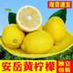 張小壯 四川黃檸檬新鮮統(tǒng)果檸檬香水檸檬 優(yōu)質(zhì)好果水果青皮黃皮隨機(jī)發(fā) 精選3斤