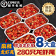 麻辣小龍蝦尾熟食即食盒裝大號香辣蝦尾蝦球超辣 麻辣 2盒*250克
