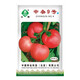 中蔬中國農科院種子雜交種大果味濃盆栽蔬菜種子中雜9號番茄種子5克