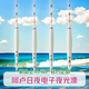 阿盧電子夜光漂高靈敏度加粗醒目鯽魚鯉魚漂底釣黑坑野釣日夜兩用浮標(biāo) LPE11（蘆葦15目水庫休閑綜合） 3號(hào)一支