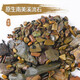 森森（SUNSUN）魚(yú)缸底砂玻璃砂魚(yú)缸裝飾造景造景底砂鋪底水族箱裝飾原生溪流沙 【細顆?！?斤 原生南美溪流石