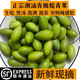 辰實【順豐】青橄欖新鮮青果 橄欖果 生吃煲湯潮汕橄欖果 燉豬肚白欖 1斤青橄欖果