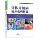 牙體牙髓病臨床病例解讀(口腔臨床病例解讀叢書(shū))