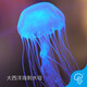 月光水母大西洋海刺水母活體活體觀(guān)賞寵物活水母夢(mèng)幻神奇彩色透明海水 傘徑5-6cm 展開(kāi)長(cháng)10cm