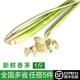 綠食者 新鮮香茅500g 檸檬草泰國(guó)冬陰功湯泰式料理調(diào)味香料菜奶茶店用品