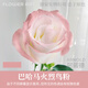 阿諾德（ARNOLD）鮮花噴漆花藝鮮花漆花店專(zhuān)用噴漆自噴漆碎冰藍彩噴色劑著(zhù)色手搖噴 巴哈馬火烈鳥(niǎo)粉