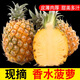 萊財(cái)多云南香水小菠蘿9斤新鮮水果當(dāng)季鳳梨金鉆小波羅5手撕現(xiàn)摘整箱 5斤精品裝