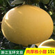 御香梅 臺州正宗玉環(huán)大文旦柚子浙江特產(chǎn)臺州楚門(mén)應當季新鮮水果 精選果5-6個(gè)15斤