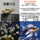 德系瑪雅蝴蝶鯉大酋長(cháng)冷淡水觀(guān)賞魚(yú)易養耐寒長(cháng)尾球體錦鯉鬼面彩蝶 德系瑪雅蝴蝶鯉3-5公分3條