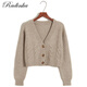 Radinka2026春秋新款單排扣麻花針織衫小外套短款高腰顯瘦膠花毛衣LTQ 杏色 M 90-100斤