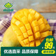 小湯山 芒果 約700g 優(yōu)選直采新鮮水果順豐到家