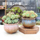 多肉花盆套裝個(gè)性透氣迷你可愛(ài)創(chuàng  )意地中海美式陶瓷肉肉植物花盆 群生盆2件套