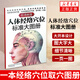 【鳳凰新華書店旗艦店】穴位圖人體經(jīng)絡(luò)穴位標(biāo)準(zhǔn)大圖冊(cè) 清晰版 人體經(jīng)絡(luò)穴位圖解書 人體經(jīng)絡(luò)中醫(yī)按摩穴位圖解大全書 輕工業(yè)書籍