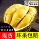 現貨泰國金枕榴蓮 30年老樹(shù)果 榴蓮整個(gè)帶殼 3-12斤 4-5斤（4-5房）