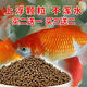 直隸戲水軒魚(yú)食錦鯉魚(yú)飼料小顆粒金魚(yú)魚(yú)糧通用小型魚(yú)不渾水高蛋白螺旋藻魚(yú)料 精選飼料【500克】 適合【魚(yú)長(cháng)度4-9厘米吃的】小顆粒
