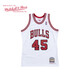 MITCHELL & NESS 刺繡復(fù)古球衣AU球員版94賽季 NBA公牛隊飛人喬幫主 MN男籃球服 94-95賽季Au M