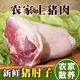 【順豐】土豬肘子散養(yǎng)生豬肉豬蹄膀商用前肘子豬瘦肉肘子生新鮮 新鮮肘子切塊【1斤裝】