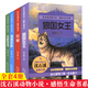 沈石溪動(dòng)物小說(shuō)全集感悟生命書(shū)系 全套8冊狼國女王五彩龍鳥(niǎo)雪域豹影紅豺7-12-15歲兒童文學(xué)中小學(xué)生課外閱讀物狼王夢(mèng)作者著(zhù)正版 沈石溪動(dòng)物小說(shuō)-紅豺 沈石溪動(dòng)物小說(shuō)4冊