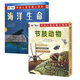 手繪兒童奇趣小百科：海洋生命+節(jié)肢動(dòng)物（全11冊(cè)） 7-10歲 童立方出品