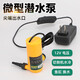 華麥斯12V微型水泵迷你水泵家用自吸抽水泵開(kāi)槽機水鉆機切割機潛水泵 10米揚程+5米水管