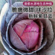 密農(nóng)人家 農(nóng)家紫甘藍(lán) 新鮮紫白菜 鮮嫩脆甜新鮮蔬菜 沙拉菜 紫包菜750g
