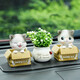 創(chuàng)意新款萌寵可愛(ài)卡通貓咪喵小樂(lè)搖頭擺件車載車內(nèi)裝飾擺件幸運(yùn)貓擺件裝飾 喵小樂(lè)一對(duì)+盆栽（（配雙面膠和防滑墊）