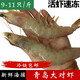 魚(yú)姐海成 青島對蝦鮮活新鮮超大冷凍海蝦速凍特大對蝦9-11只500g袋裝 15-17cm