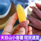 林中山 臨安天目山小香薯迷你小紅薯板栗薯農(nóng)家地瓜番薯 5斤