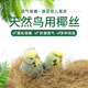 寵兒新家鳥(niǎo)用墊窩椰絲 鳥(niǎo)巢用木屑 下蛋保暖 鸚鵡繁殖箱墊窩用