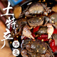 醉蟹生腌小螃蟹 罐裝即食小海鮮 小黃蟹子 滂蜞白玉蟹下酒菜涼菜 甜辣【地道蘇北口味】 500克
