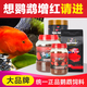 統(tǒng)一血鸚鵡魚飼料增紅增色增艷招財羅漢魚飼料起頭花羅漢魚糧魚食 鸚鵡魚飼料 688g 增艷【瓶裝】
