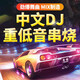 車載cd碟片dj串燒重低音勁爆無損高音質(zhì)正版原裝網(wǎng)紅音樂流行歌曲黑膠汽車舞曲