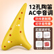樂(lè )兒音12孔初學(xué)入門(mén)專(zhuān)業(yè)中音ac調高音sc調陶笛樹(shù)脂防摔兒童學(xué)生幼兒樂(lè )器 【標配】12孔黃色+掛繩+指法表