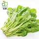 旭耕有機小白菜250g  凈菜青菜新鮮蔬菜  四季農(nóng)家種植現(xiàn)摘現(xiàn)發(fā)