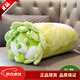 LittleCuCu蔬菜精靈菜狗娃娃抱枕睡覺(jué)玩偶白菜狗公仔毛絨玩具女友小孩禮物 經(jīng)典抱枕55厘米 帶防偽標，尺寸以吊牌為準