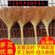 藍百惠掃地掃帚高粱苗笤帚掃把 家用學(xué)校工廠(chǎng)地板清潔單個(gè)掃把 工廠(chǎng)學(xué)校專(zhuān)用