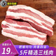 嫩個(gè)帶皮五花肉豬肉散養(yǎng)土豬黑豬肉三線精新鮮現(xiàn)殺速凍 【精品】三線五花肉5斤