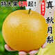 正宗山東萊陽(yáng)秋月梨2024新鮮梨子當(dāng)季水果現(xiàn)摘現(xiàn)發(fā)雪蜜梨整箱禮盒 5斤【單果300g+】