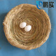 鵬實(shí)鴿子蛋窩 墊布防側(cè)翻草編窩圓方形蛋窩 養(yǎng)殖用品用具鴿子草窩蛋筐 平底草窩【偏小20厘米左右】
