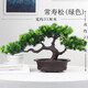 花藝赫  仿真迎客松植物盆栽室內(nèi)綠植小盆景擺件桌面假花擺設(shè)家居裝飾品擺件 綠色常壽松