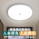 金雨萊人體感應聲光控家用雷達感應吸頂燈走廊樓梯過(guò)道燈LED感應吸頂燈 15W【聲控感應】白光