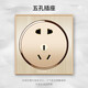 國(guó)際電工 86型暗裝墻壁電源開關(guān)圓形香檳金拉絲五孔帶開關(guān)插座 五孔插座(10A)
