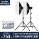 神牛（Godox） 200W/250W攝影燈影室專業(yè)閃光燈中小型影棚電商拍攝燈套裝證件照美食影棚燈 【套裝1】200W閃光燈【兩燈套裝】
