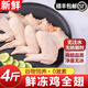 散養(yǎng)雞生雞全翅新鮮冷凍燒烤奧爾良食材三節(jié)雞翅膀大翅 4斤裝