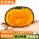 譯優(yōu)農【惠和一號】山東貝貝南瓜板栗味老南瓜甜粉糯寶寶小南瓜新鮮蔬菜 凈重 5斤 【單果200g+】