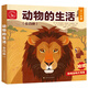 動(dòng)物的生活（全4冊）狼、獅子、海豚、馬  3-6歲兒童自然通識類(lèi)野生動(dòng)物朋友科普繪本童書(shū)籍閱讀 